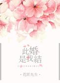 此婚了了结局是什么