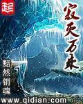 寂灭万乘txt全集
