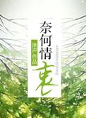 奈何情衷作者沐声