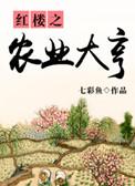 红楼之种田空间