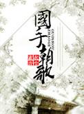 国手朝歌 作者素音衣尘