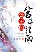 宫斗公主职位