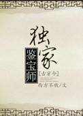 鉴宝师的