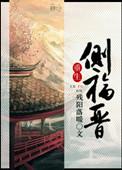 重生清朝侧福晋