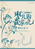 枣儿沟发家记txt