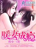 暖妻成瘾讲的什么