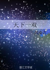 天下一家成双对打一生肖
