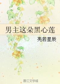 男主这朵黑心莲简介