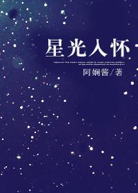 星光入怀完整版txt