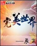 完美世界237