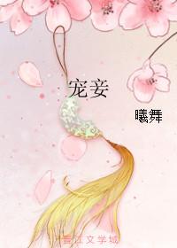 宠妾文学