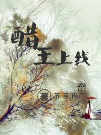 醋王上线一