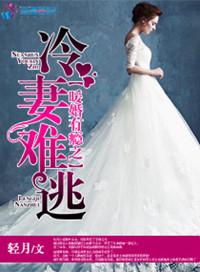 暖婚宠妻
