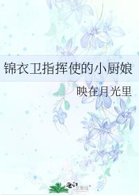 有羽倾舟破版