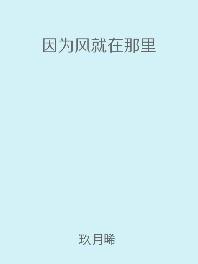 因为风就在那里作者