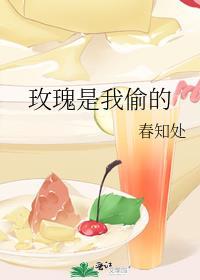 团宠学霸小姑穿书七颗菜