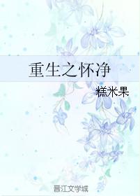 重生之怀净剧透