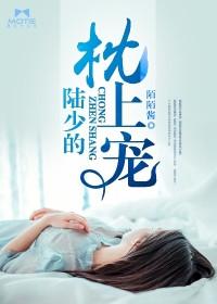 枕上婚宠陆青