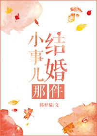 结婚那件小事儿讲了什么
