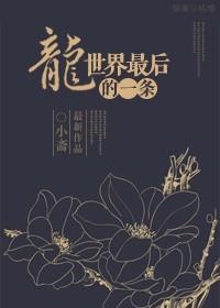 最后一条飞龙电影全集