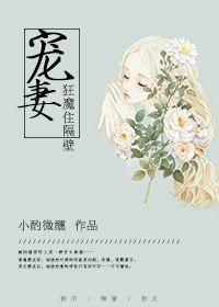 宠妻狂魔的书