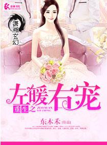 重生之左暖右宠东木禾