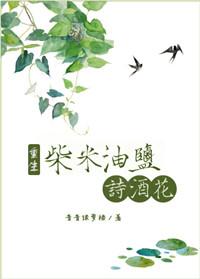 柴米油盐诗酒花完结加番外