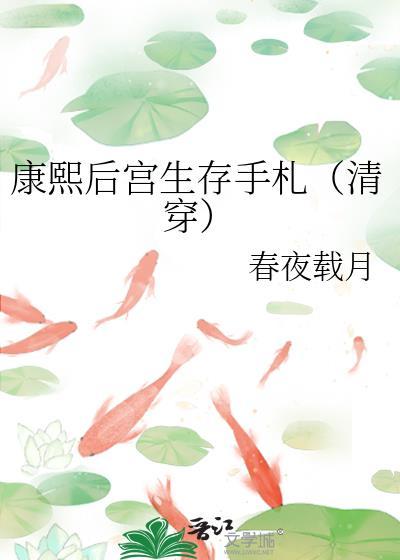 清穿康熙后宫养娃