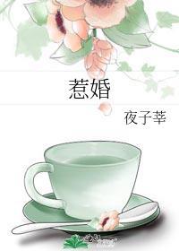 惹婚全文免费阅读完整版