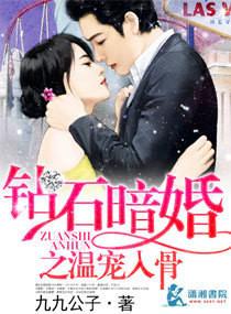 钻石暗婚夜七沐寒声全文免费阅读