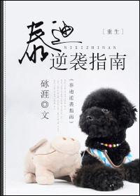 泰迪狗仔都怎么训练