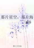那片星空那片海二季