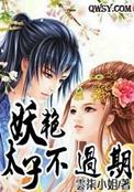 妖族太子的