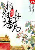 相府墙真高全文免费阅读