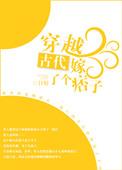 穿越古代嫁了个痞子相公