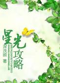 星光攻略防盗文