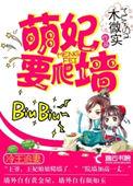 冷王追妻王妃又爬墙了完整