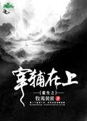 重生之宰府在上