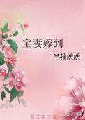 宝妻嫁到男主角是谁