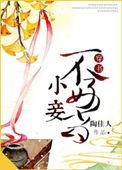 小妾不乖逃妾难逑