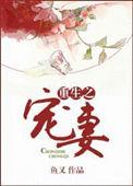 重生宠妻无度第三部