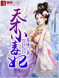 天才小毒妃第三部叫什么名字