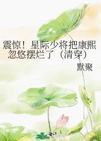 星际少将的宠夫