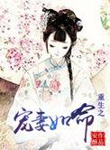 重生之宠你如命十尾兔