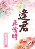 逢君正当时分集简介