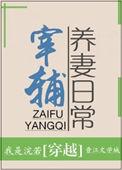 宰辅养妻日常番外