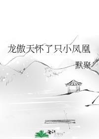 龙傲天怀了只小凤凰百度