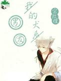 我的犬系男友by