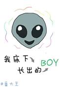 床底下有好多小虫子