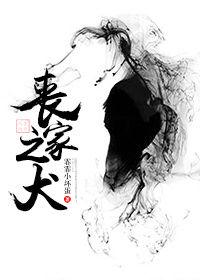 丧家之犬文言文翻译解析